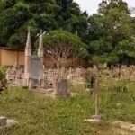 Cementerio Municipal de San Rafael de Onoto se ha convertido en un blanco de la delincuencia