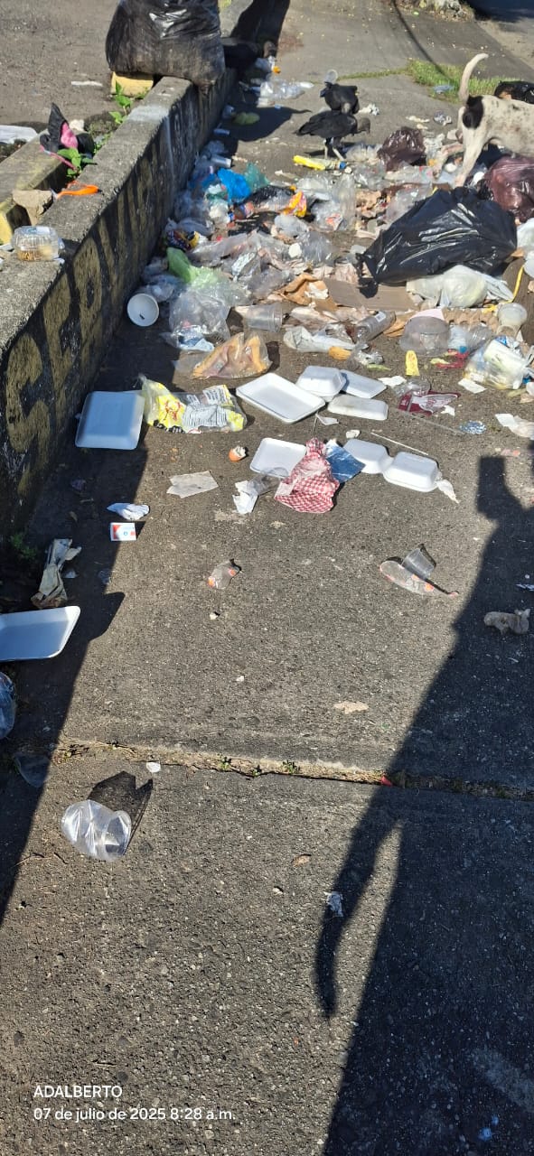 EDITORIAL: CONCIENCIA Y LIBERTAD: Cuando la basura no está en las calles, sino en la mente.