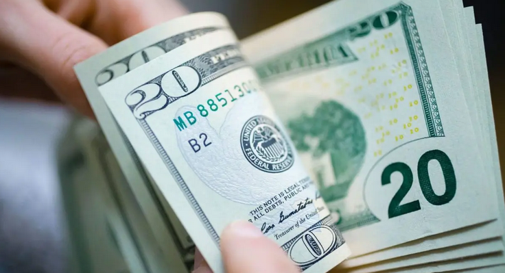 Dólar oficial incrementó 8,54 % durante los primeros 15 días de julio
