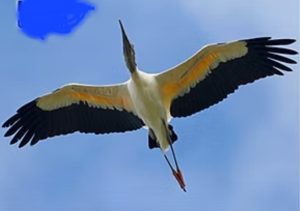 RECOPILACIONES: El GABAN