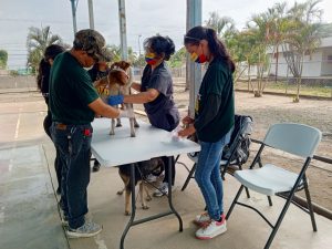 Misión Nevado atiende a 150 caninos en jornada de salud integral en Guanare