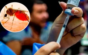 Ministra de Salud admite fallecimientos por fiebre amarilla y refuerza campaña de vacunación