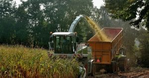 Importaciones de alimentos de Venezuela ascienden a $2.500 millones